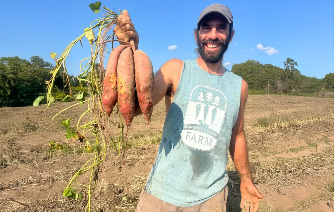 What Ultrarunning and Organic Farming Have in Common (More Than You Think)